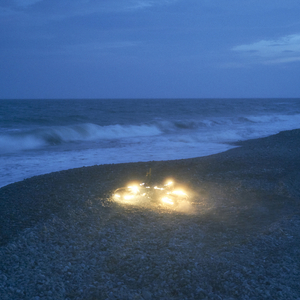 奥大利XXXXBBB com
