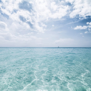 奥大利XXXXBBB com
