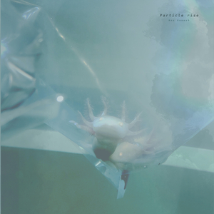 奥大利XXXXBBB com
